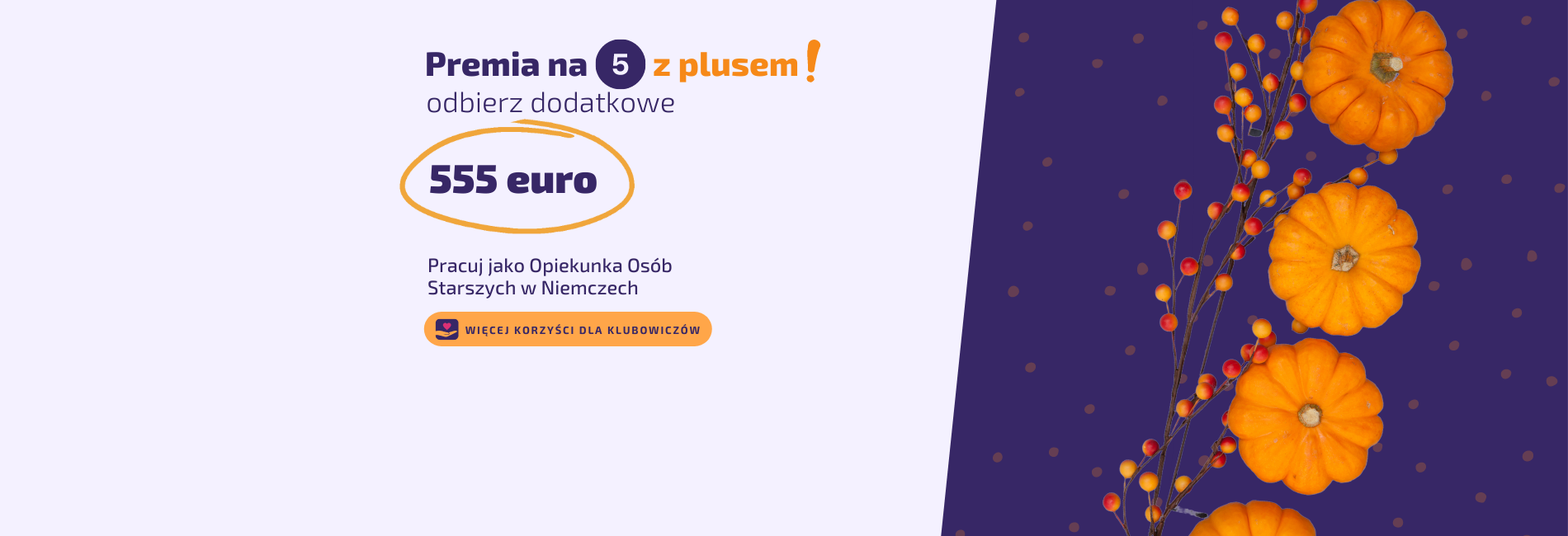 Agencja opiekunek osób starszych w Niemczech Arkadia Care